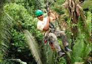 Belize White Water Tubing & Zip Line Canopy Tour